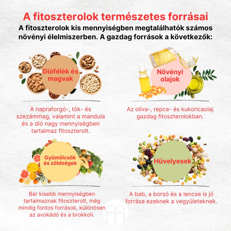 (Maďarština) Přirozené zdroje fytosterolů (1)